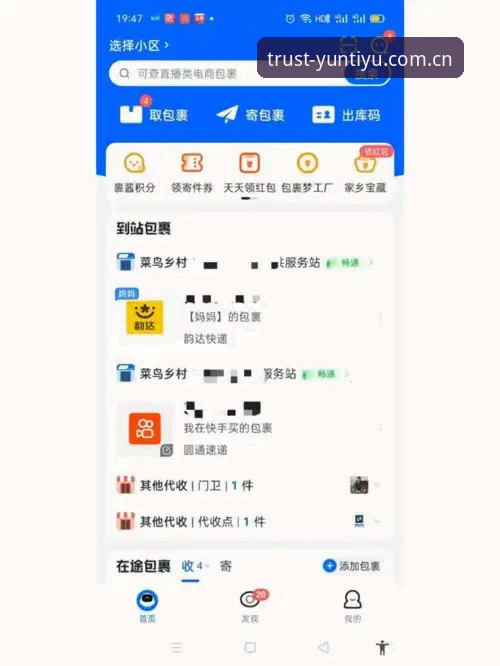 资深用户分享：云体育APP实战使用心得，从菜鸟到老司机的进化之路
